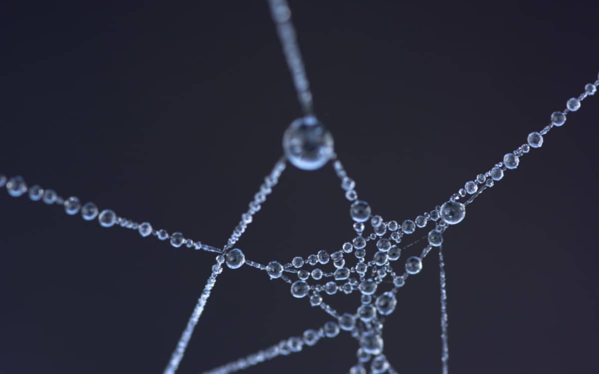 Full Ethereum node after merge is represented by a spider web Photo by Pixabay from Pexels
