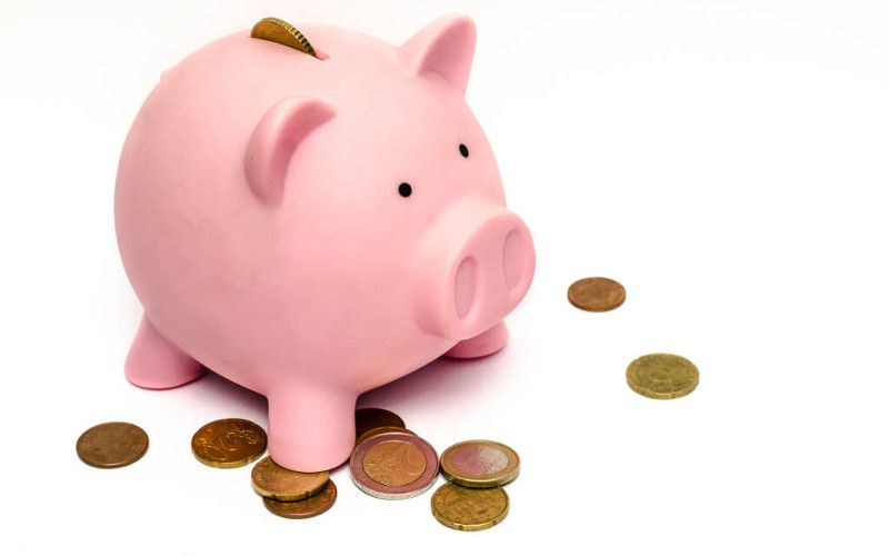 Reduce costs on Heroku, represented by a pig image. Photo by Skitterphoto from Pexels